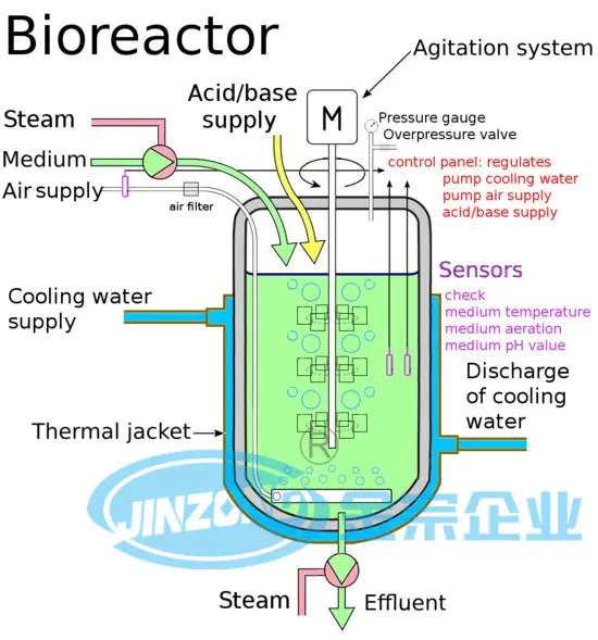Fermentation Chamber Fermentor Bioreactor China Manufacturer