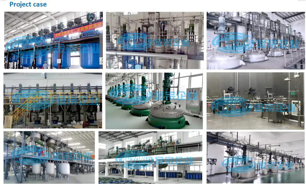 Pharmaceutical Processing Plant Equipment Reactor Storage Tank Crystallizer Mixing Machine