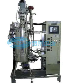 Bio Fermenter and Bioreactor Fabricator
