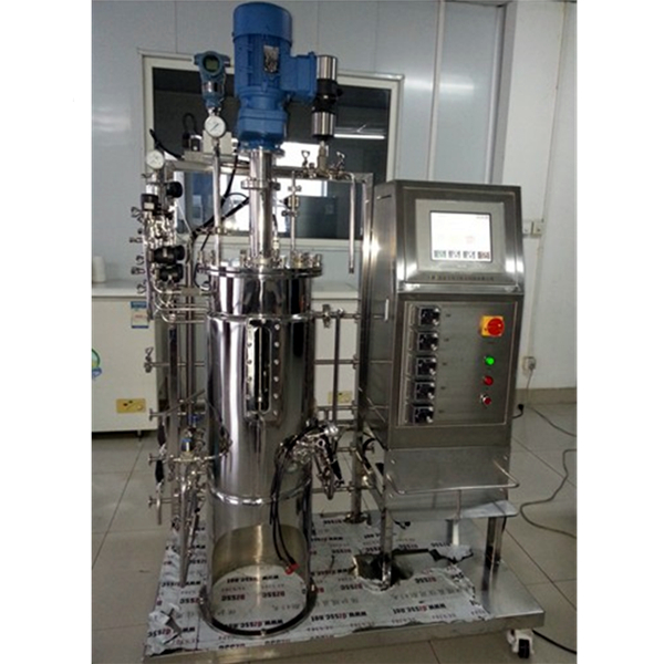 Fermentor Bioreactor Fermentation machine